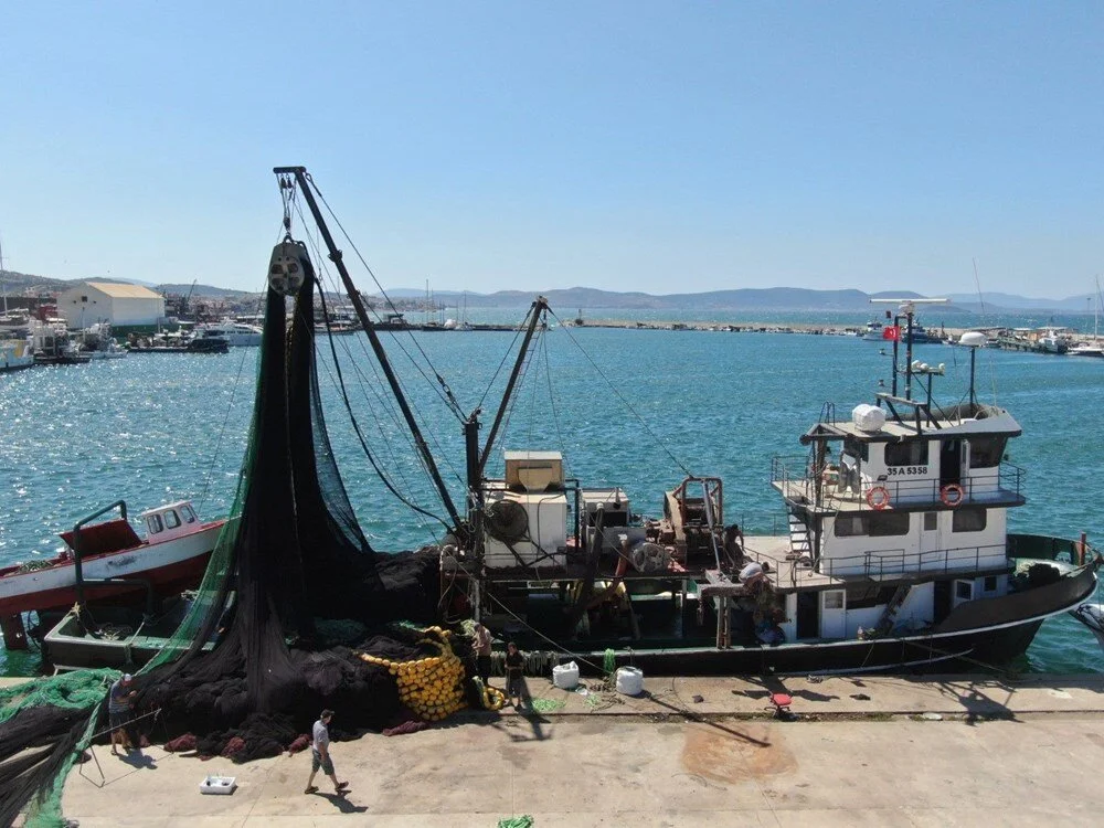 Mm9 Sr04Mw U Oeo N12 Hg95 Q A