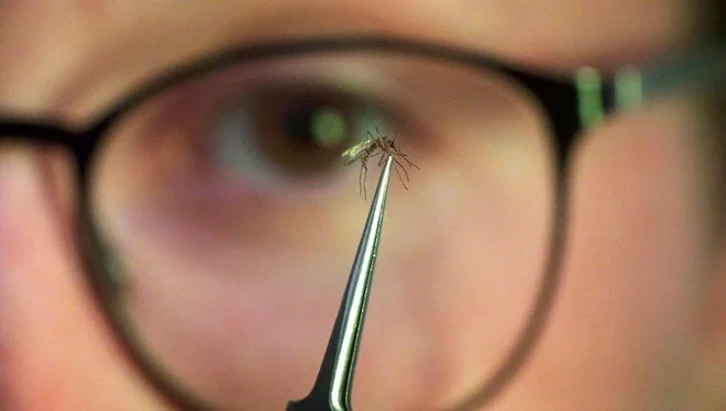 Pn6 O D Rk7 Qkuq G H Ovub Nl Q