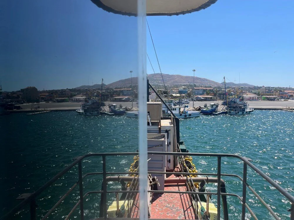 Qxt H I P P I D E Crd F W Yu Cc Zz A