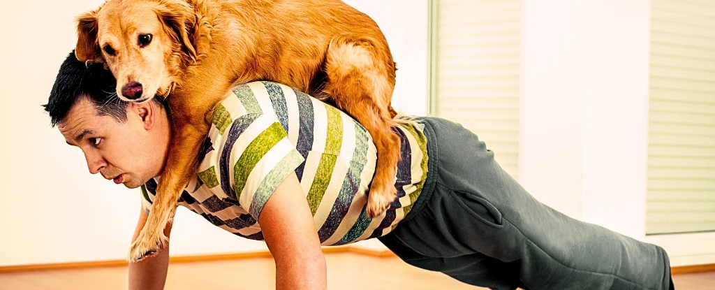 Resim 2025 09 21 094655653