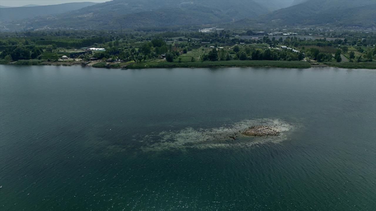 Sapanca Golu Kuraklik A 2386753