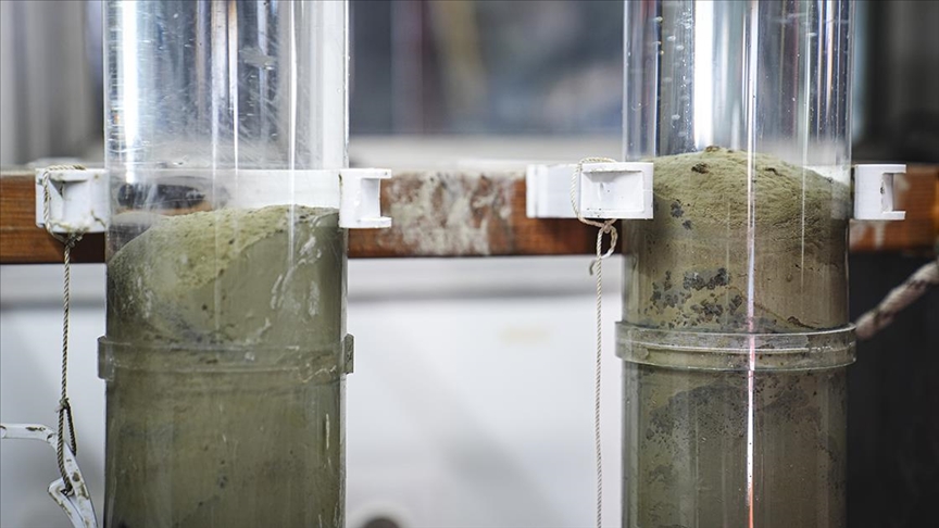 Thumbs B C 66F8855E827E0De4E39F77E7C3D88E2F