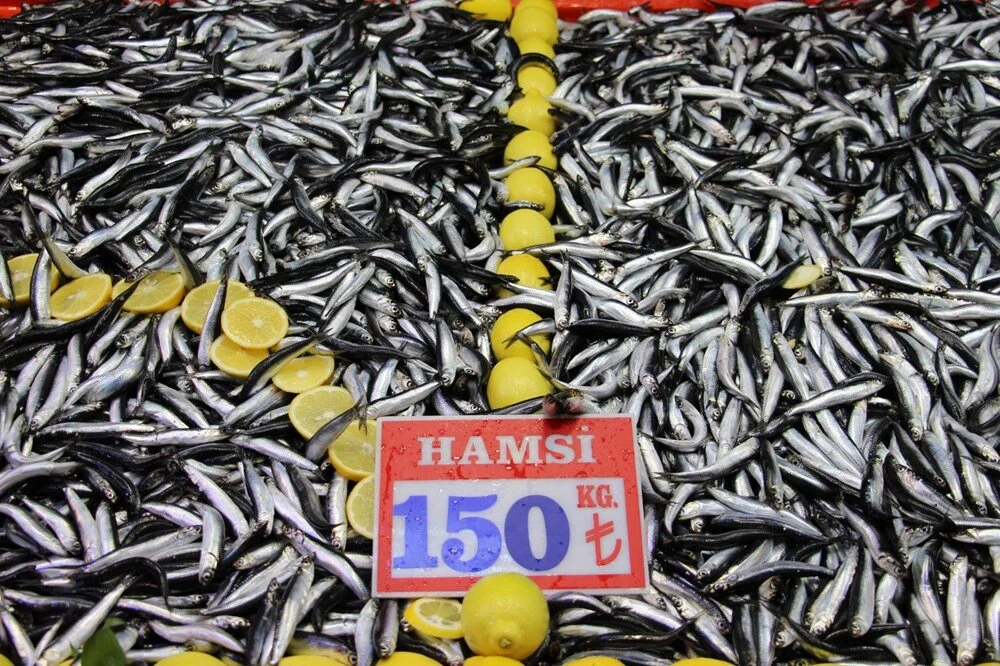 2 Nm W P P M1F U Wg Jf To L X E Ig