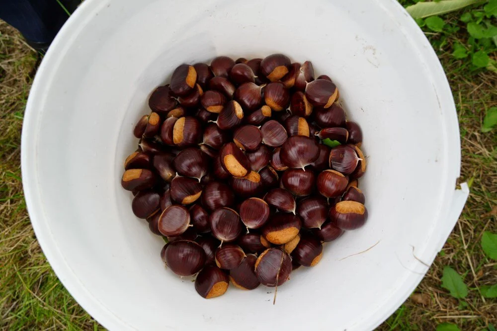 26 Dzt U Lm2 U C0S E6 O D Ai S T A