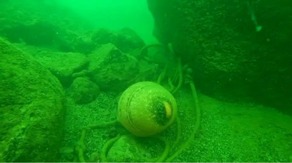 3 X5 W D E Hgyk T T7C Ygrk Tr Q