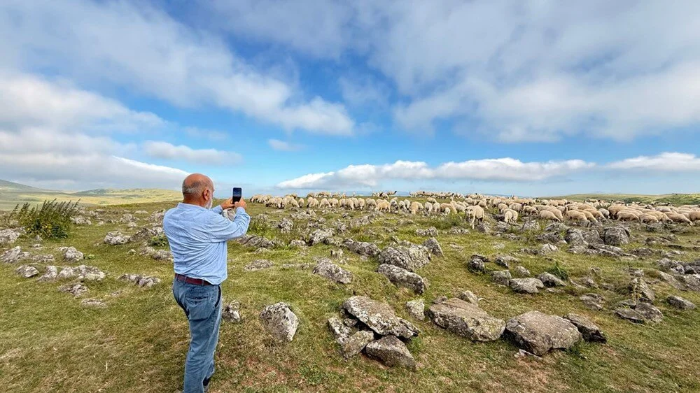 6 I W Rs F A G0Azi L1D P R96Mg