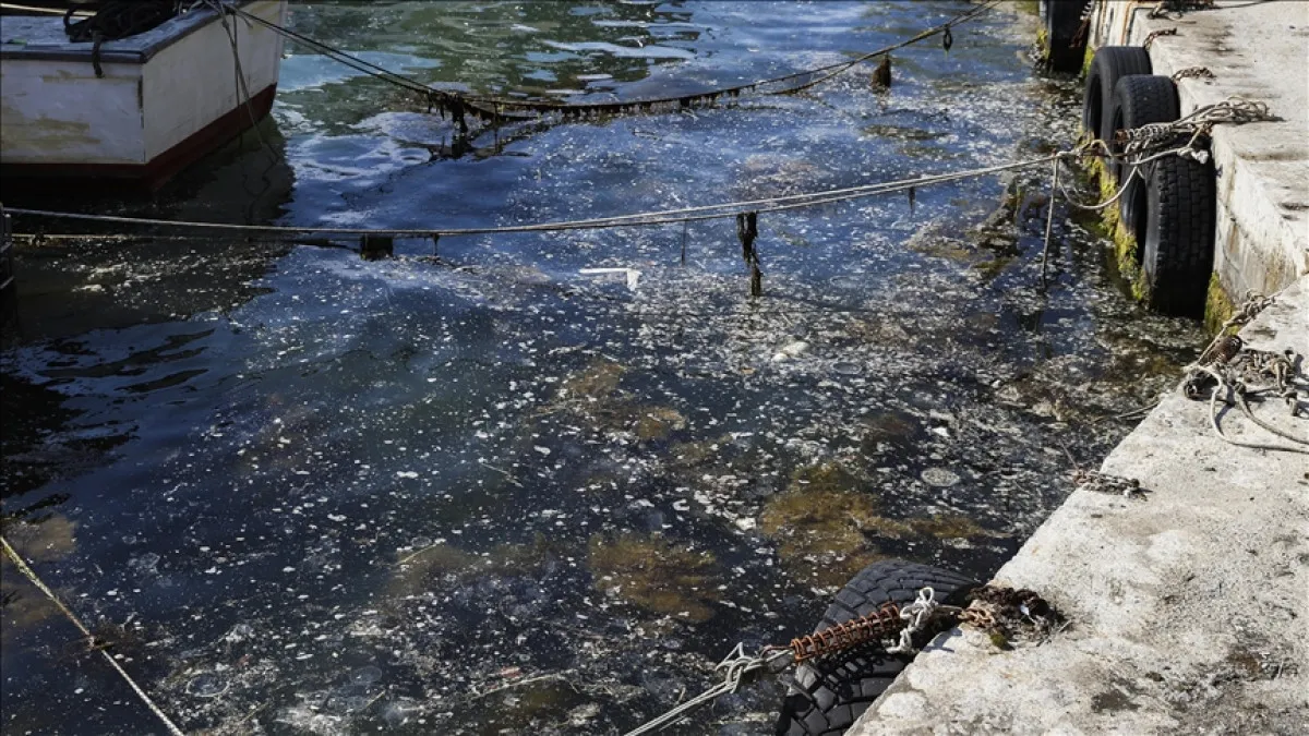 68F1E78Bcbda1940 W1200Xh675