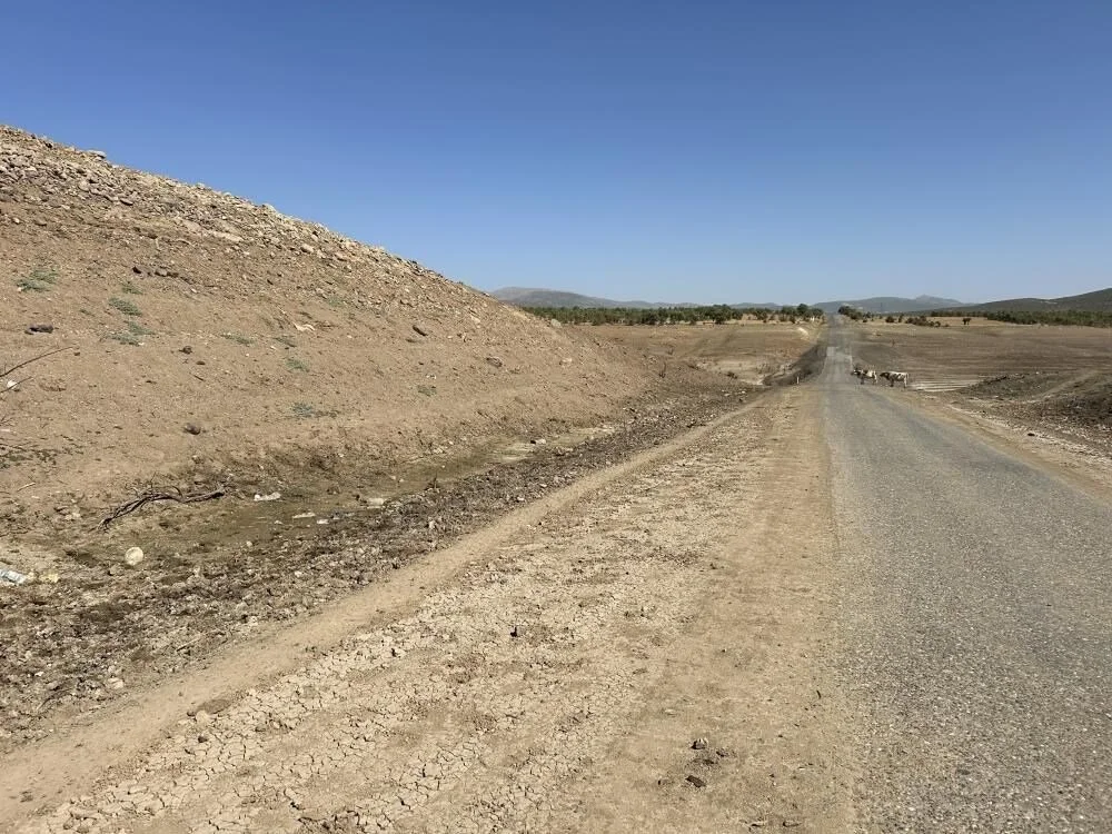 7Mko Mag F P Ua5M4 Y S D1 A X Hg