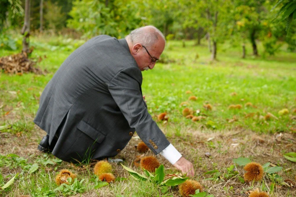 9W F Glj Lqr0 Oheq Jdm Pkj Og