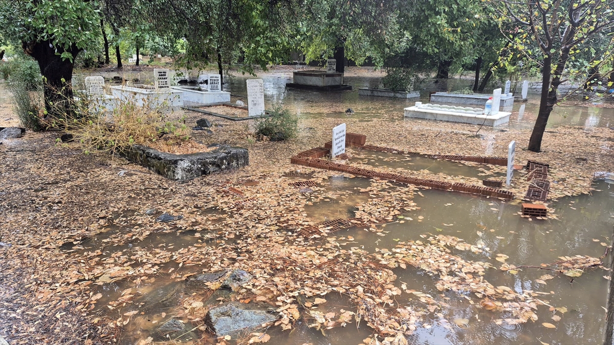 A A 20251003 39298804 39298801 M U G L A D A S A G A N A K V E F I R T I N A E T K I L I O L U Y O R-1