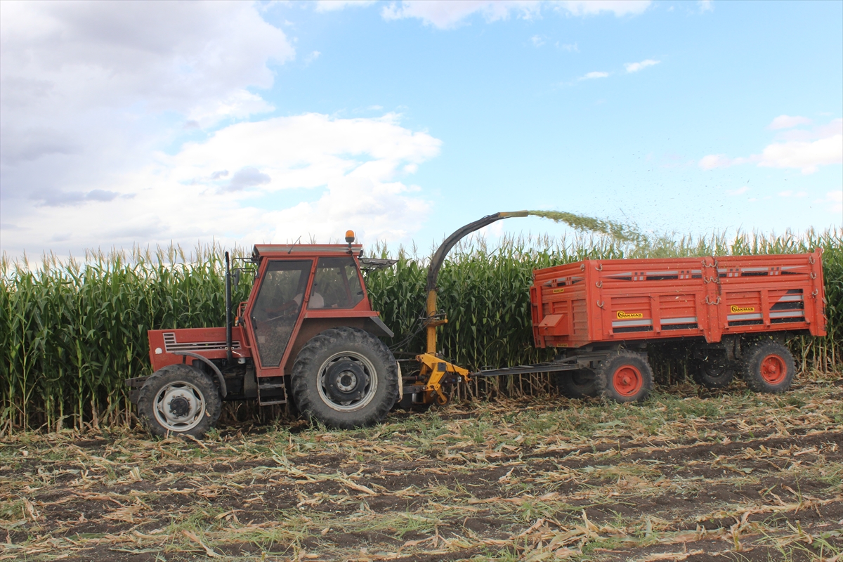 A A 20251004 39306402 39306397 K A R S T A U R E T I C I L E R Y U K S E K V E R I M E L D E E T T I G I S I L A J L I K M I S I R I H A S A T E D I Y O R