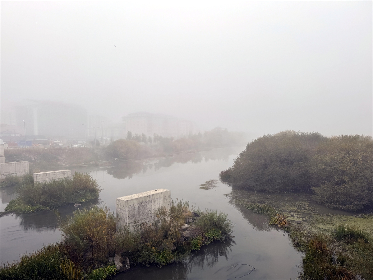 A A 20251006 39324001 39323996 A R D A H A N D A S I S E T K I L I O L D U