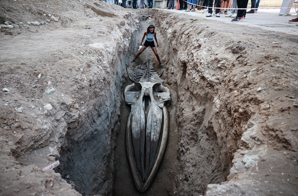 A A 20251007 39331977 39331968 M E R S I N D E 4 Y I L O N C E G O M U L E N F I N B A L I N A S I N I N I S K E L E T I T O P R A K T A N C I K A R I L I Y O R