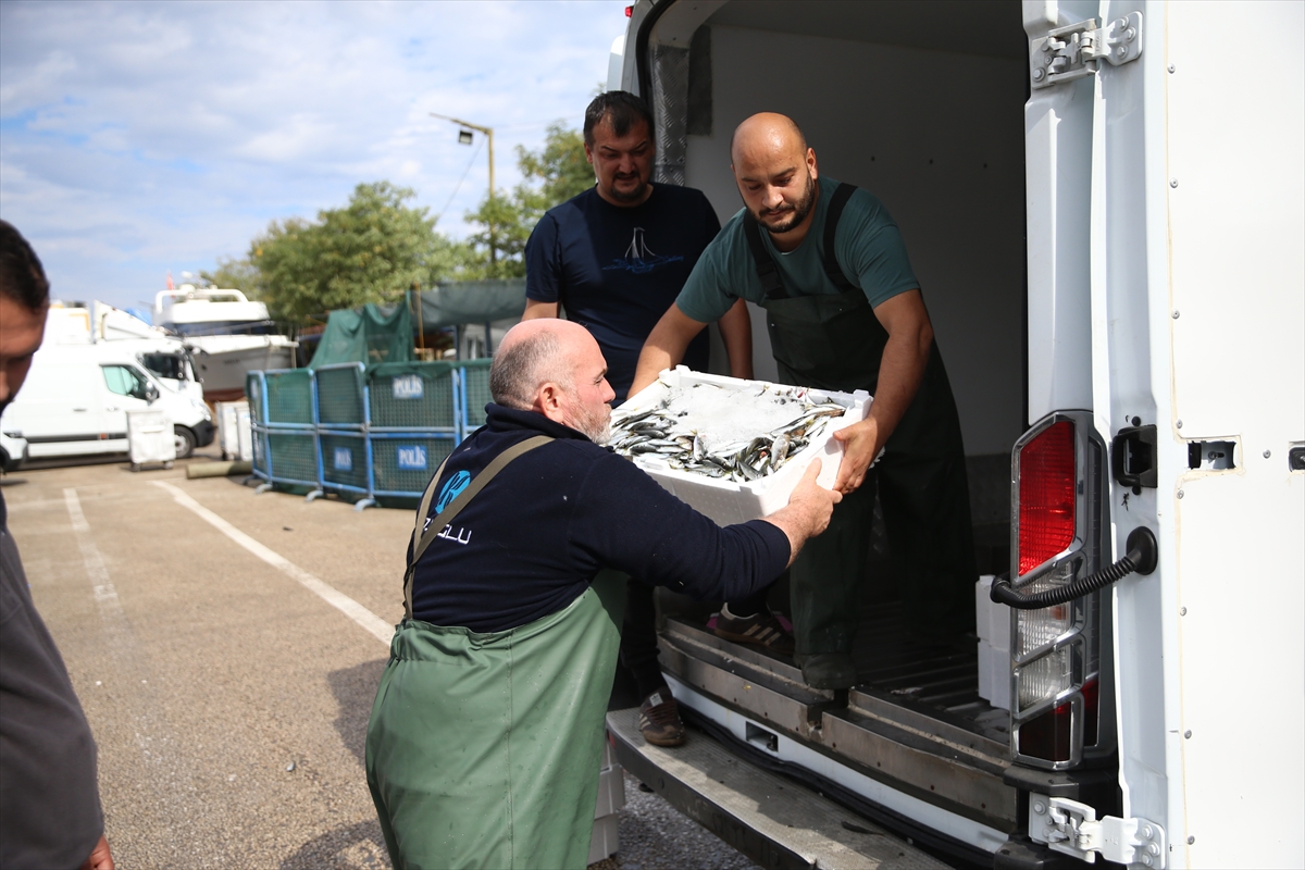 A A 20251009 39355825 39355823 O R D U D A D E N I Z E A C I L A N B A L I K C I L A R I N Y U Z U I S T A V R I T L E G U L U Y O R