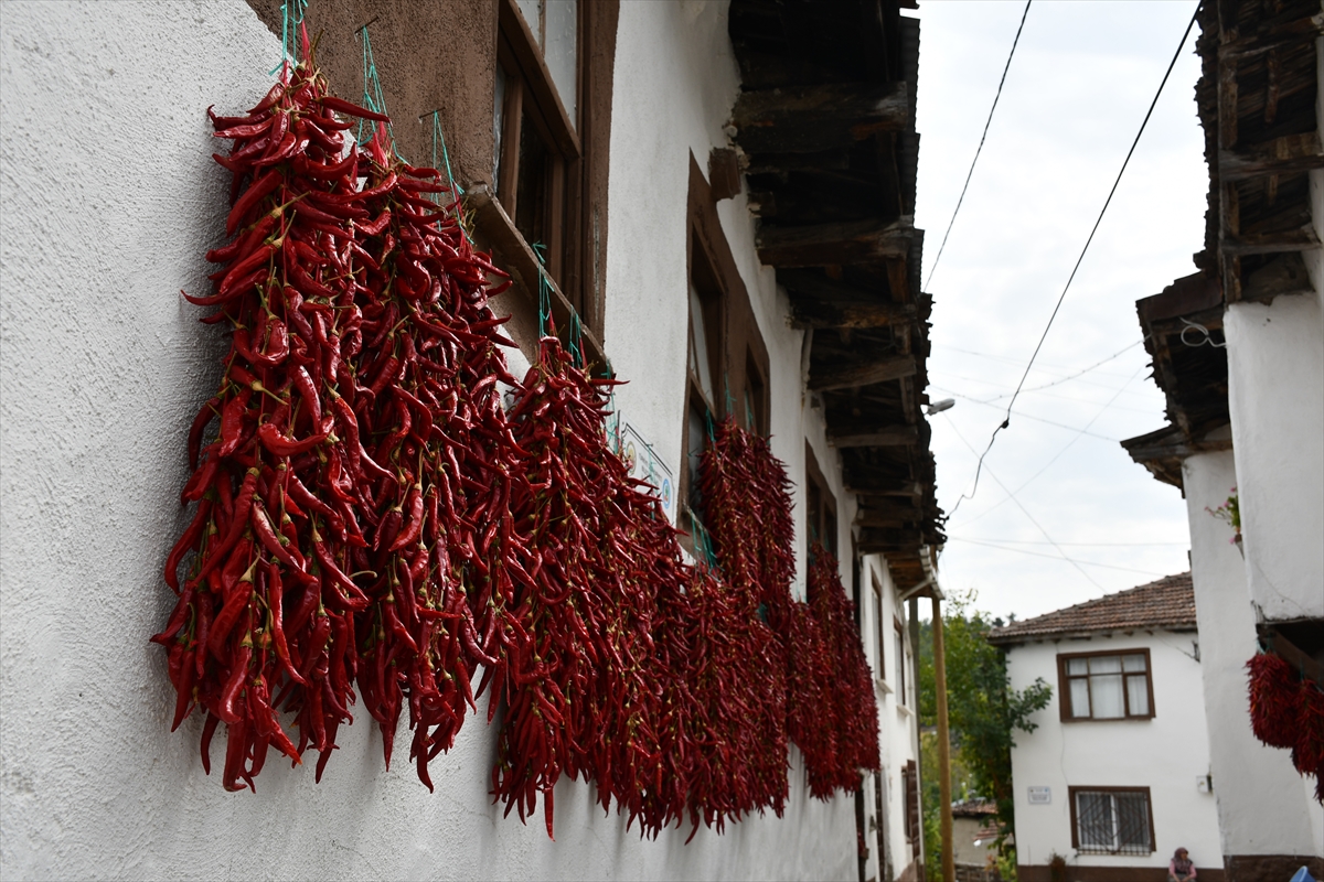 A A 20251011 39375869 39375868 B I L E C I K I N T E S C I L L I C U K U R O R E N B I B E R I N I N U R E T I M A L A N I K U R A K L I K N E D E N I Y L E A Z A L D I