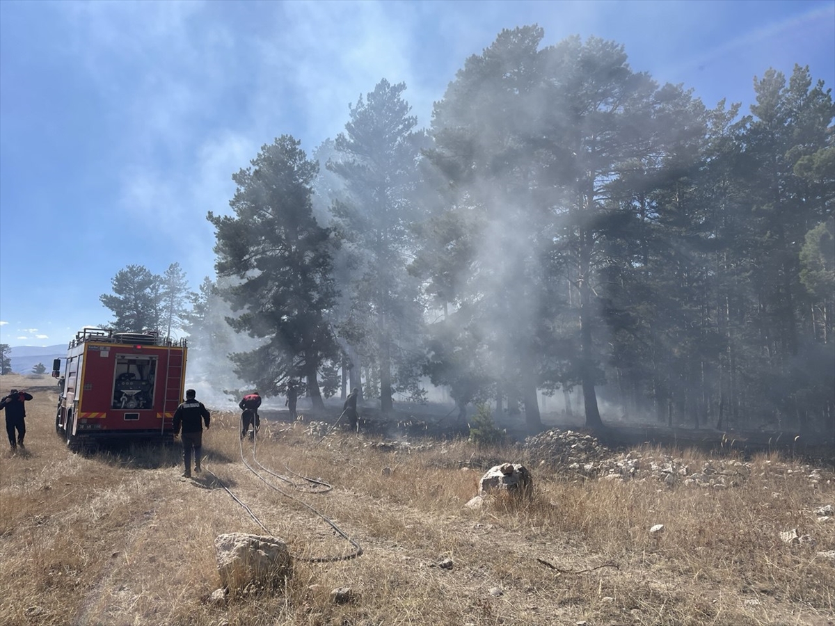 A A 20251011 39379206 39379201 S A R I K A M I S T A C I K A N O R M A N Y A N G I N I N D A Y A K L A S I K 1 H E K T A R A L A N Z A R A R G O R D U