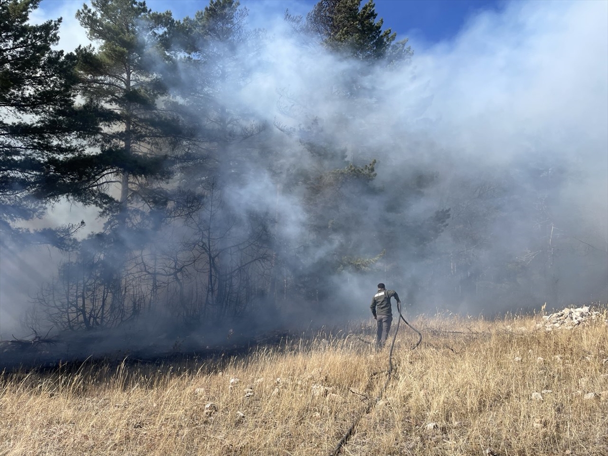 A A 20251011 39379206 39379204 S A R I K A M I S T A C I K A N O R M A N Y A N G I N I N D A Y A K L A S I K 1 H E K T A R A L A N Z A R A R G O R D U