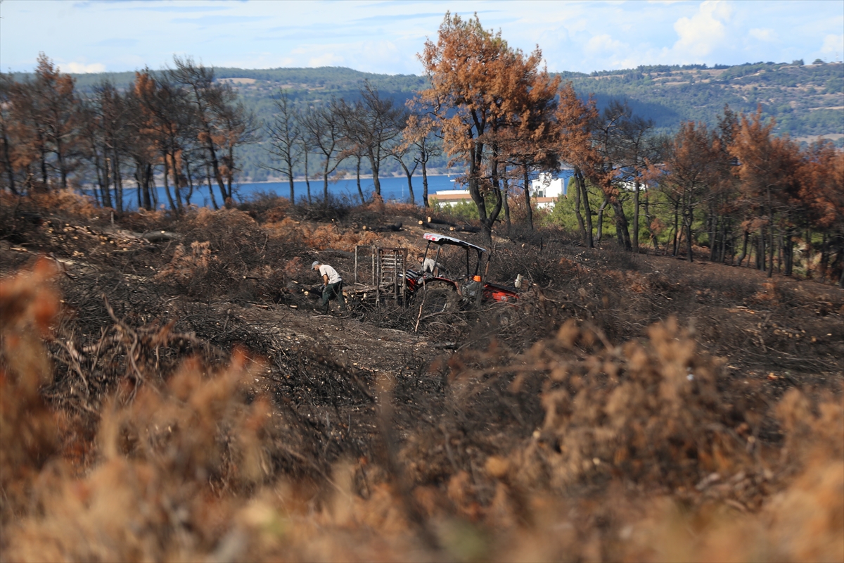 A A 20251013 39396957 39396952 C A N A K K A L E D E Y A N G I N L A R D A N Z A R A R G O R E N A L A N L A R Y E N I D E N O R M A N A D O N U S E C E K