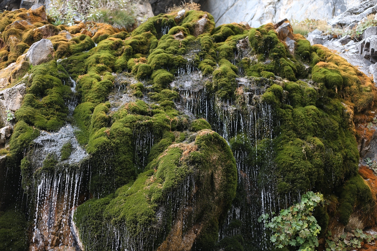 A A 20251013 39397202 39397182 O N E M L I B A R A J L A R I N D A S U K A L M A Y A N B U R S A N I N U L U D A G D A K I P I N A R L A R I D A A L A R M V E R I Y O R