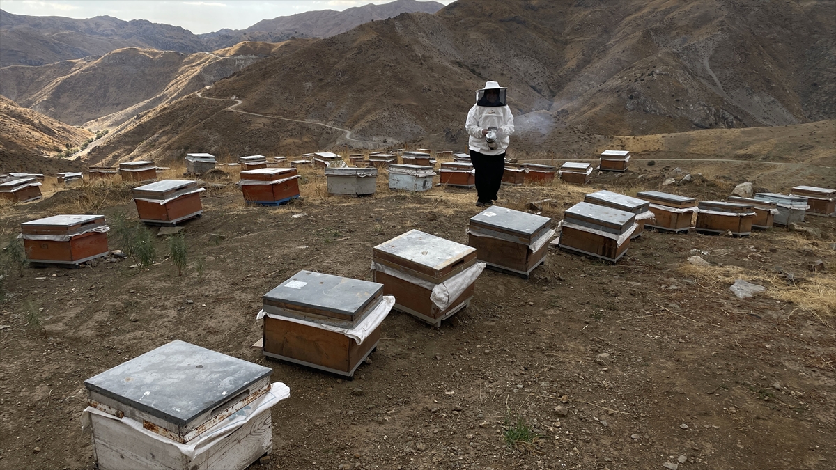 A A 20251014 39407302 39407295 B I T L I S L I K A D I N 30 K O V A N L A B A S L A D I G I A R I C I L I K T A Y I L D A 4 T O N B A L U R E T I M I N E U L A S T I