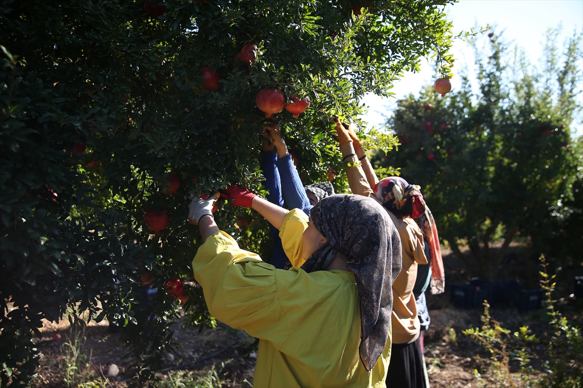 A A 20251015 39418791 39418786 A D I Y A M A N D A 19 B I N 250 D E K A R A L A N D A U R E T I L E N N A R D A H A S A T D O N E M I