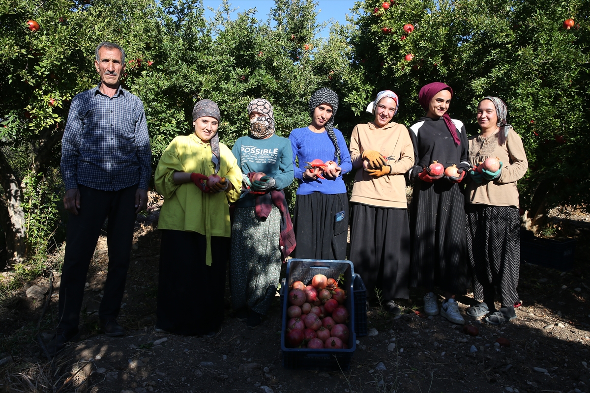 A A 20251015 39418791 39418787 A D I Y A M A N D A 19 B I N 250 D E K A R A L A N D A U R E T I L E N N A R D A H A S A T D O N E M I