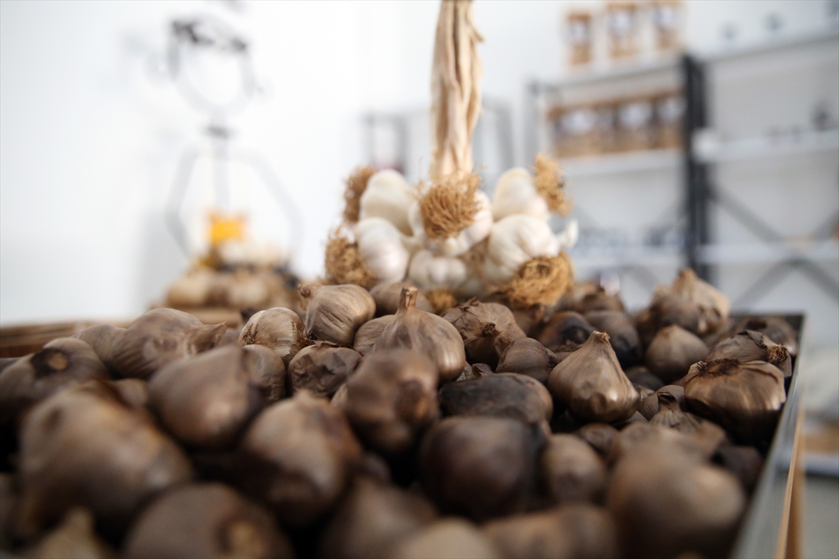 A A 20251020 39466913 39466910 C O G R A F I I S A R E T L I T A S K O P R U S A R I M S A G I N D A N U R E T I L E N S I Y A H S A R I M S A K 6 U L K E Y E I H R A C E D I L I Y O R