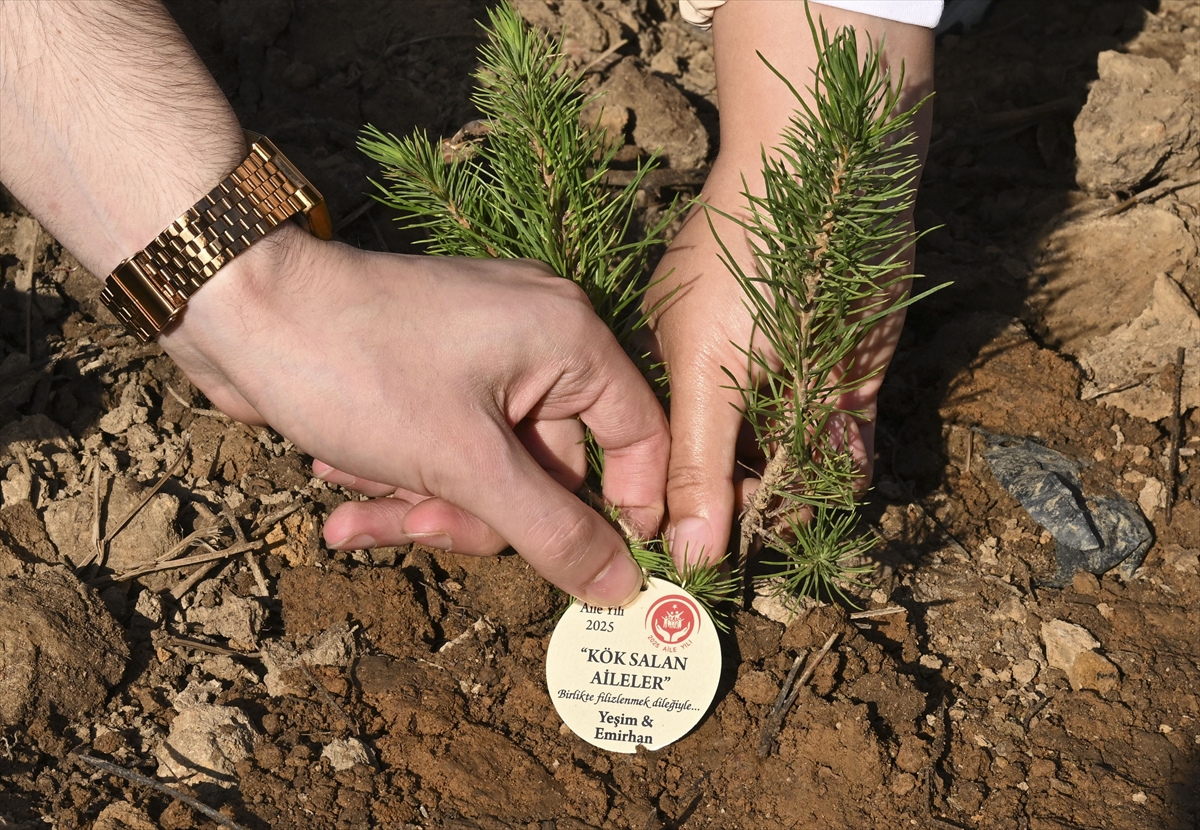 A A 20251025 39514526 39514521 I S T A N B U L D A E V L I L I K K R E D I S I N E 26 B I N 780 K I S I B A S V U R D U