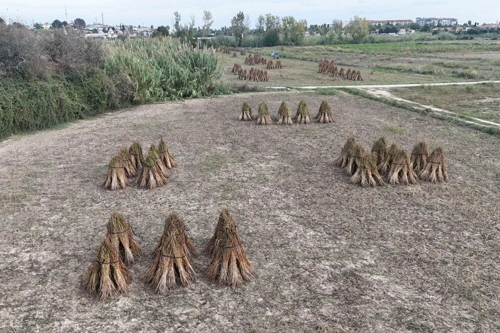 A U9 H H D0B Ue C X W27 Vax5 Cg