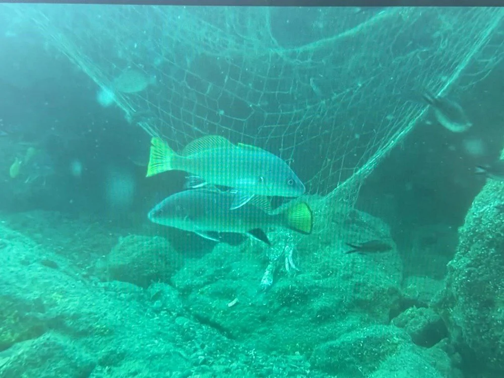 A3 N R5 E Mqp0Qx Qw Sqkhf9Rw