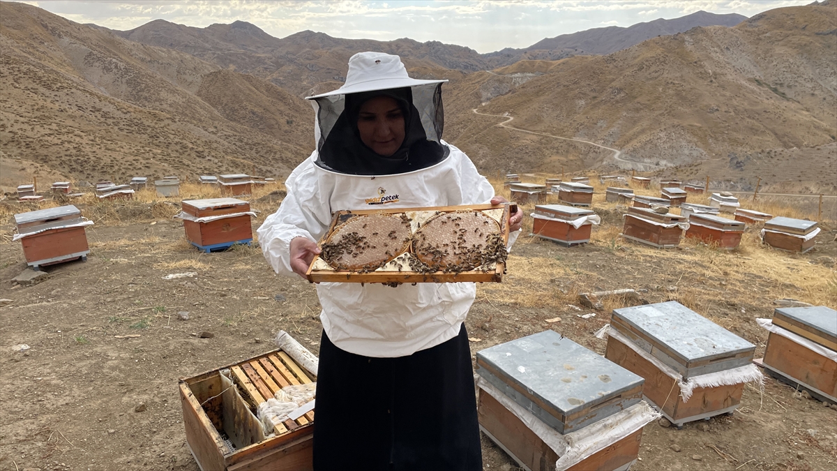 Aa 20251014 39407302 39407296 Bitlisli Kadin 30 Kovanla Basladigi Aricilikta Yilda 4 Ton Bal Uretimine Ulasti (1)