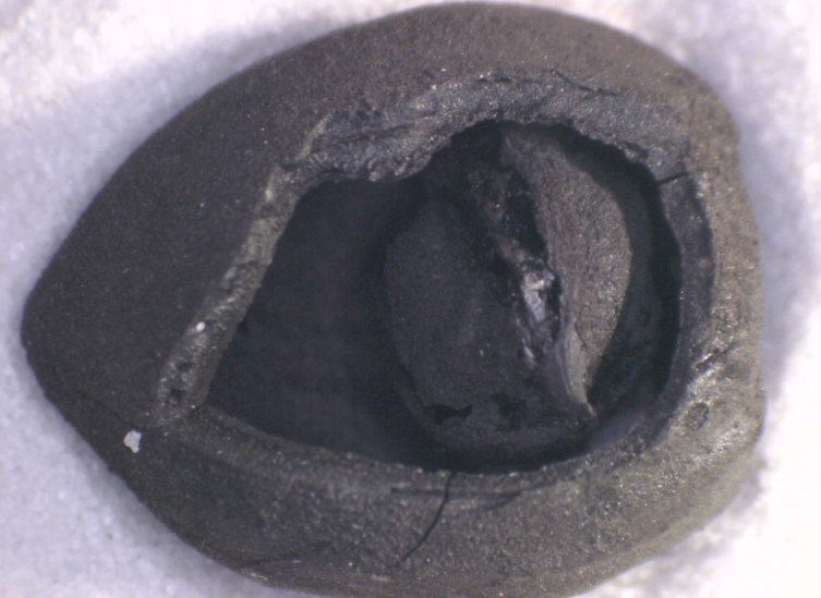 Aa Picture 20251008 39346547