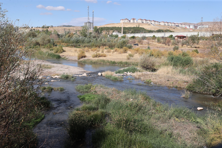 Aa Picture 20251009 39354825