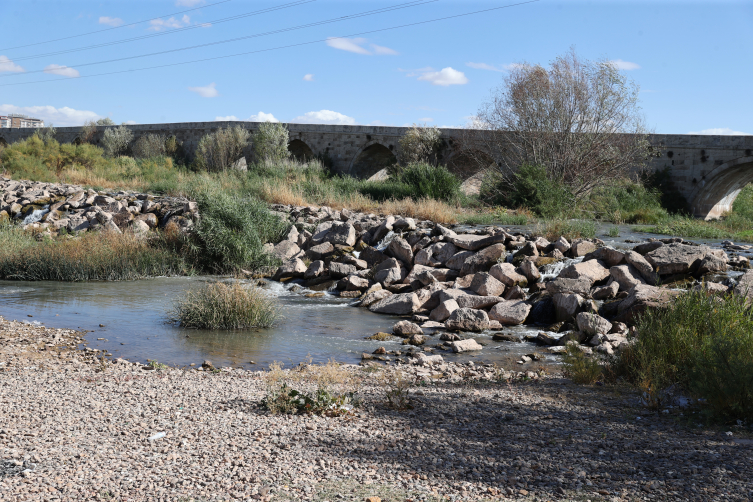 Aa Picture 20251009 39354826