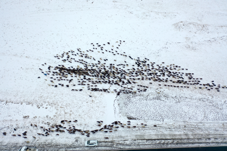 Aa Picture 20251013 39396587