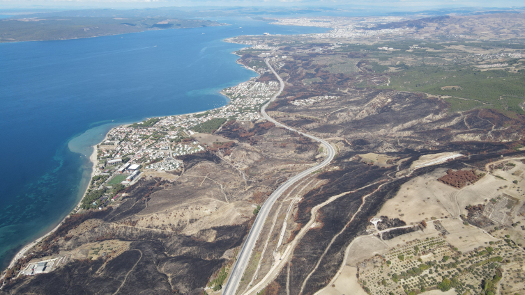 Aa Picture 20251013 39396949