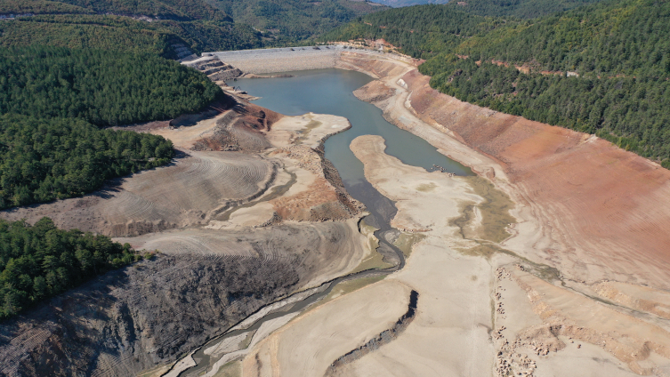 Aa Picture 20251013 39397197