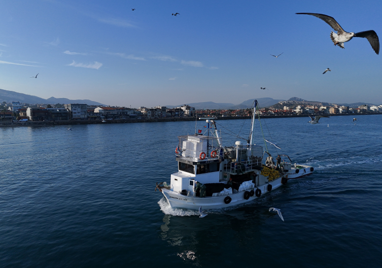 Aa Picture 20251019 39455827