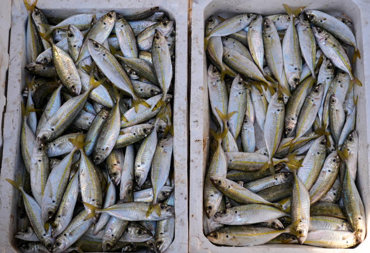 Aa Picture 20251019 39455855