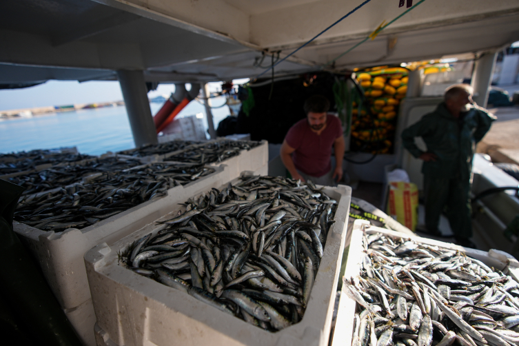 Aa Picture 20251019 39455856