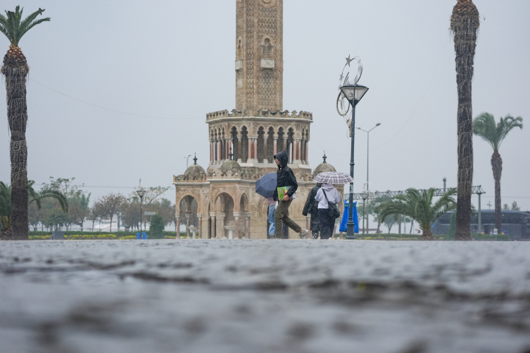 Aa Picture 20251019 39457758