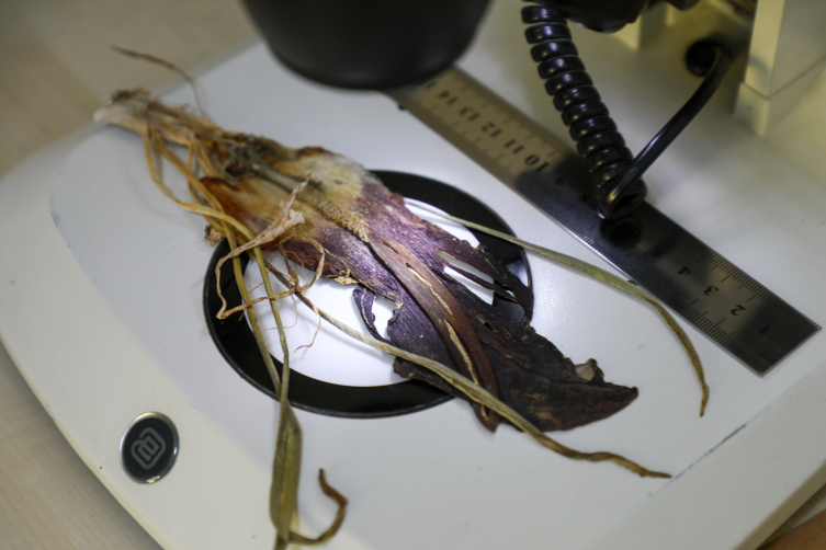 Aa Picture 20251020 39465962