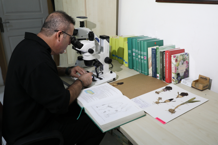 Aa Picture 20251020 39465964