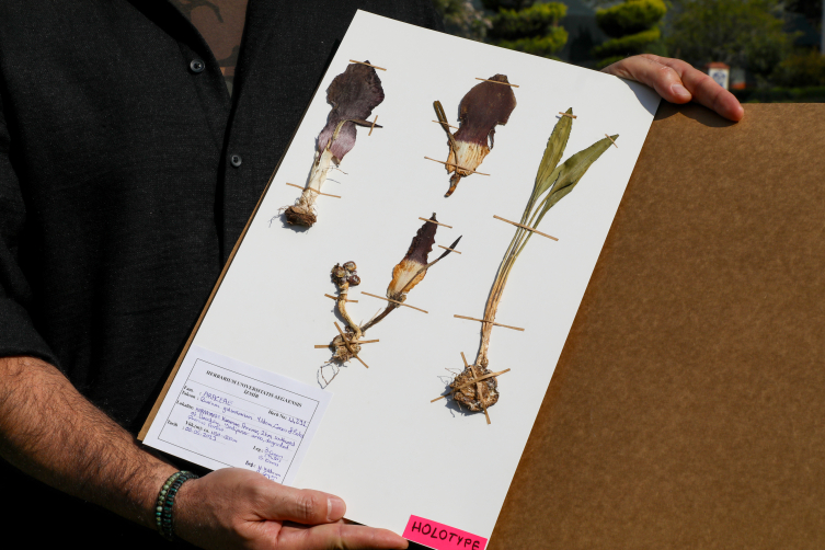 Aa Picture 20251020 39465966