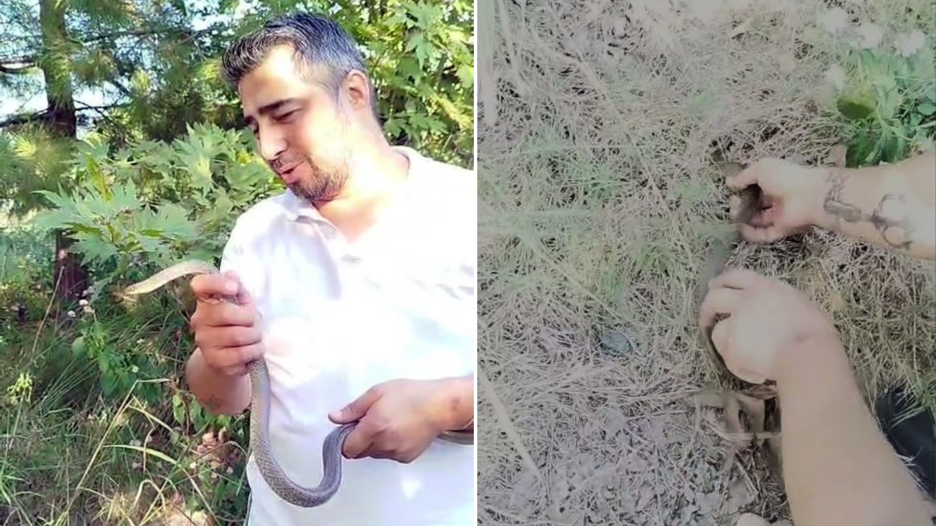 Adsız Tasarım 2025 10 18T095101.574