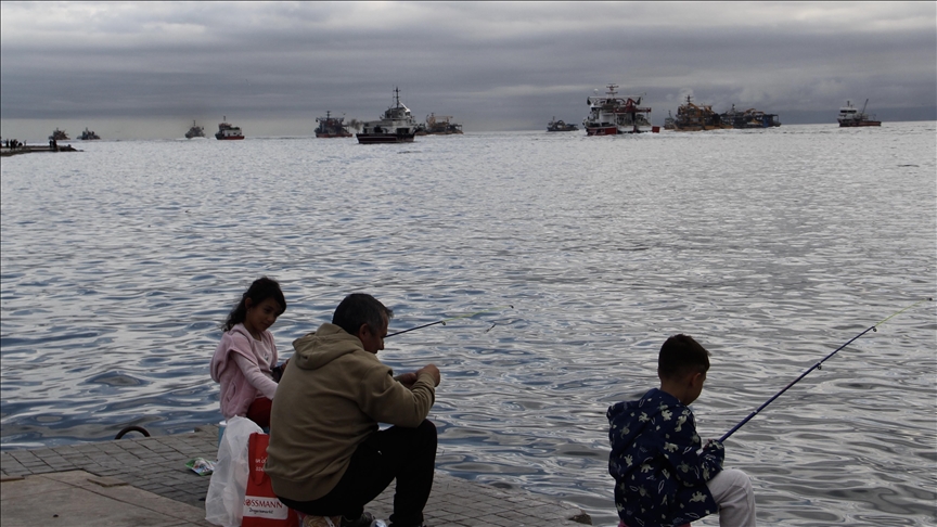 Balıkçıların Karadeniz'deki Hamsi Avı Sürüyor