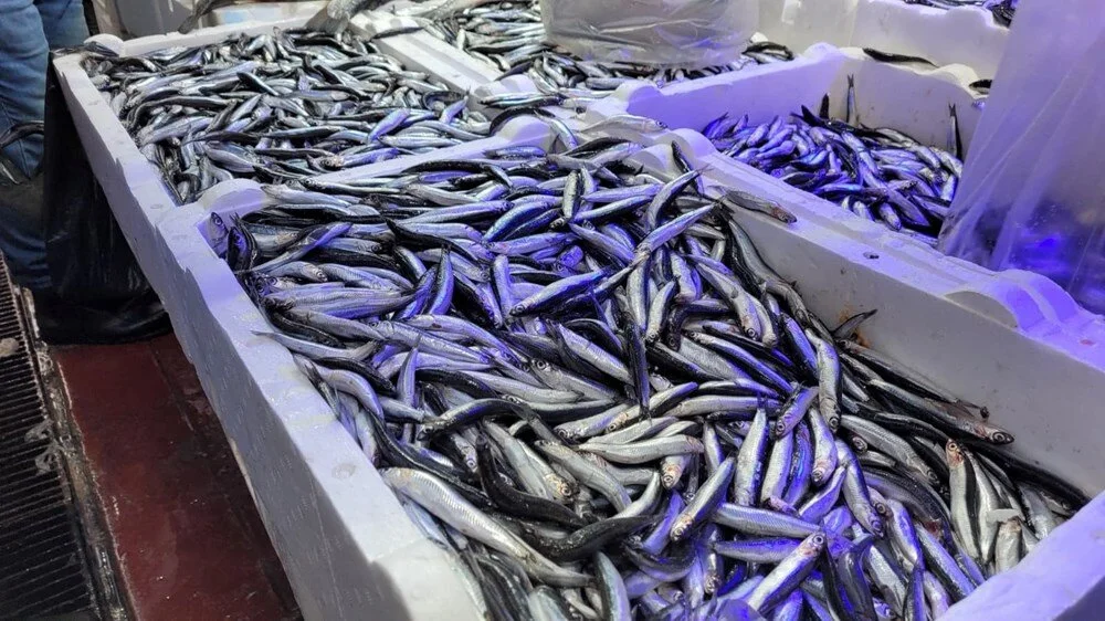 Bx M M V Qkd T U6Y8 W2R7Z2B H A