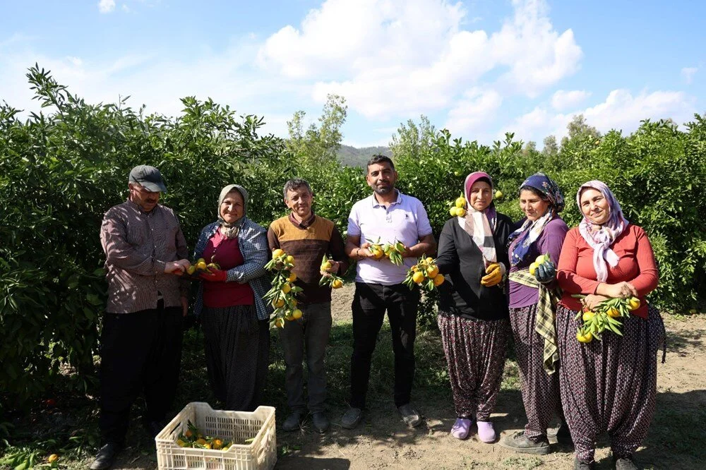 Cz H D Lr D Uv02 X I C5 N K C K Idg