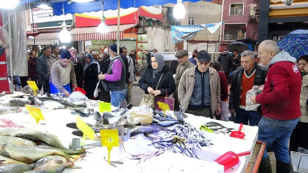 D Zq Jut Bzvki 7 Ilem U Y Y X A