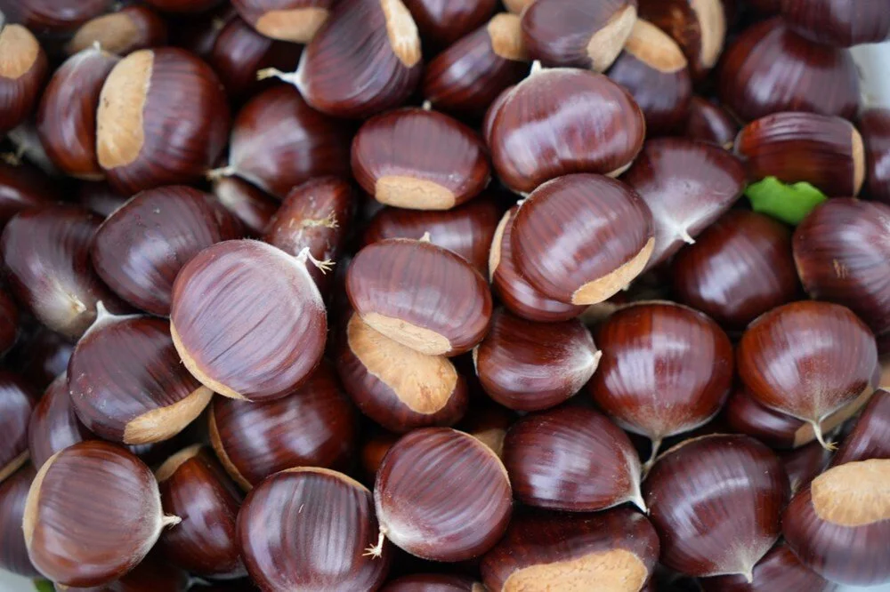 Dl F B Jsu Z K Euuay4 Diup Qr A